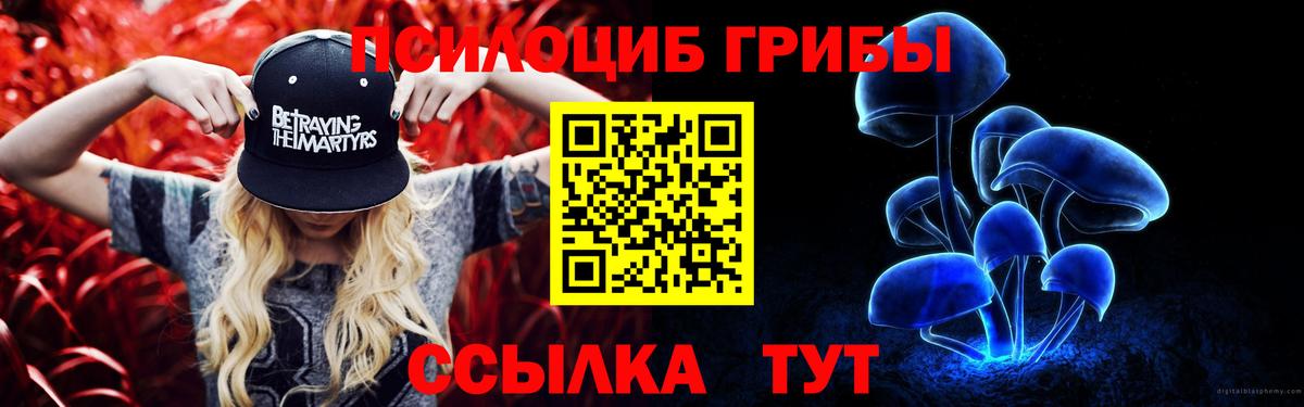 Галлюциногенные грибы Cubensis  Вход с VPN  Азов 